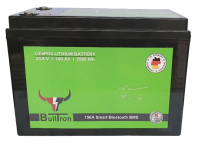 BullTron® LiFePO4 24V 100Ah Akku Batterie 150A BMS