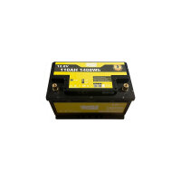 Solarpeak® LiFePO4 12.8V 110Ah 200A BMS winter